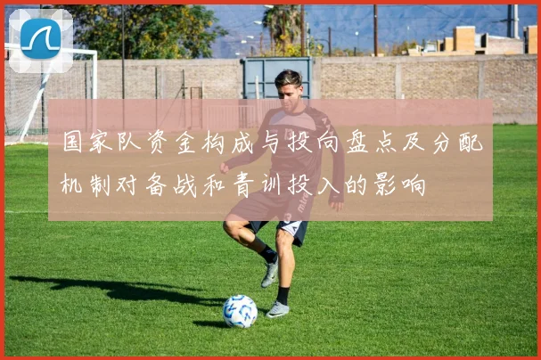国家队资金构成与投向盘点及分配机制对备战和青训投入的影响