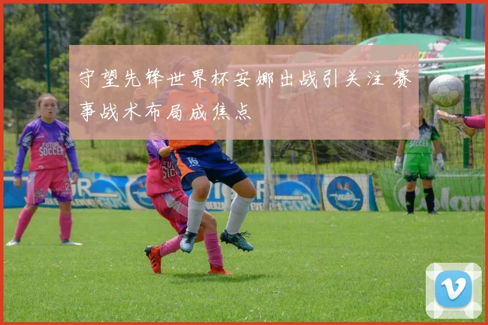 守望先锋世界杯安娜出战引关注 赛事战术布局成焦点